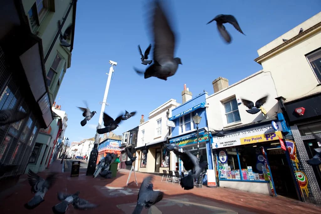 What to Wear for a Night Out in Brighton: Evening Outfit Guide