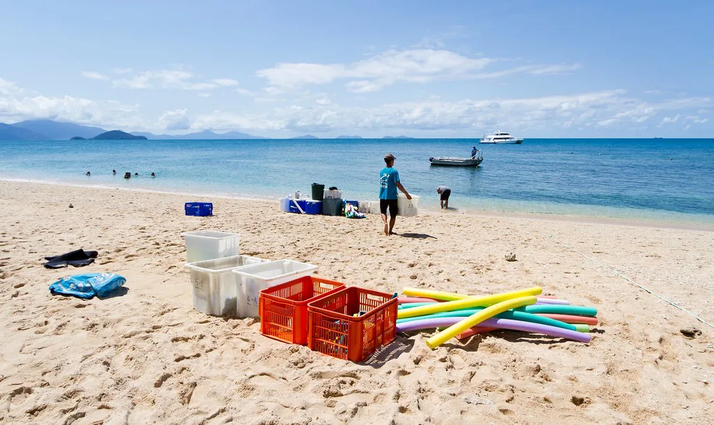 summer packing list