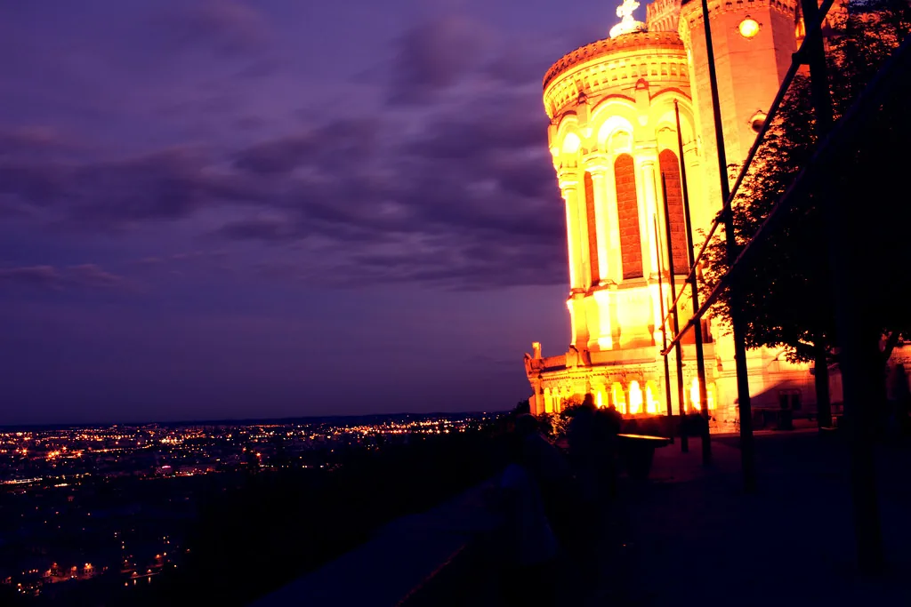 A rose holding on before winter in Lyon, France, evoking the city's cool February mood