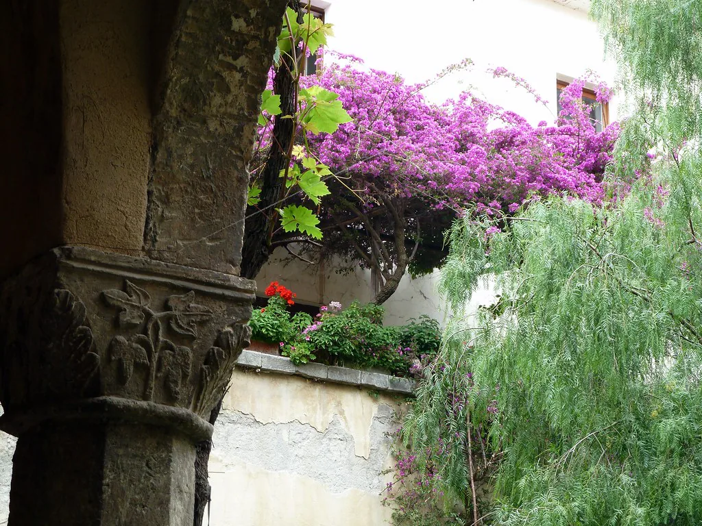 Lush spring greenery near Sorrento, reflecting May's mild Amalfi Coast climate