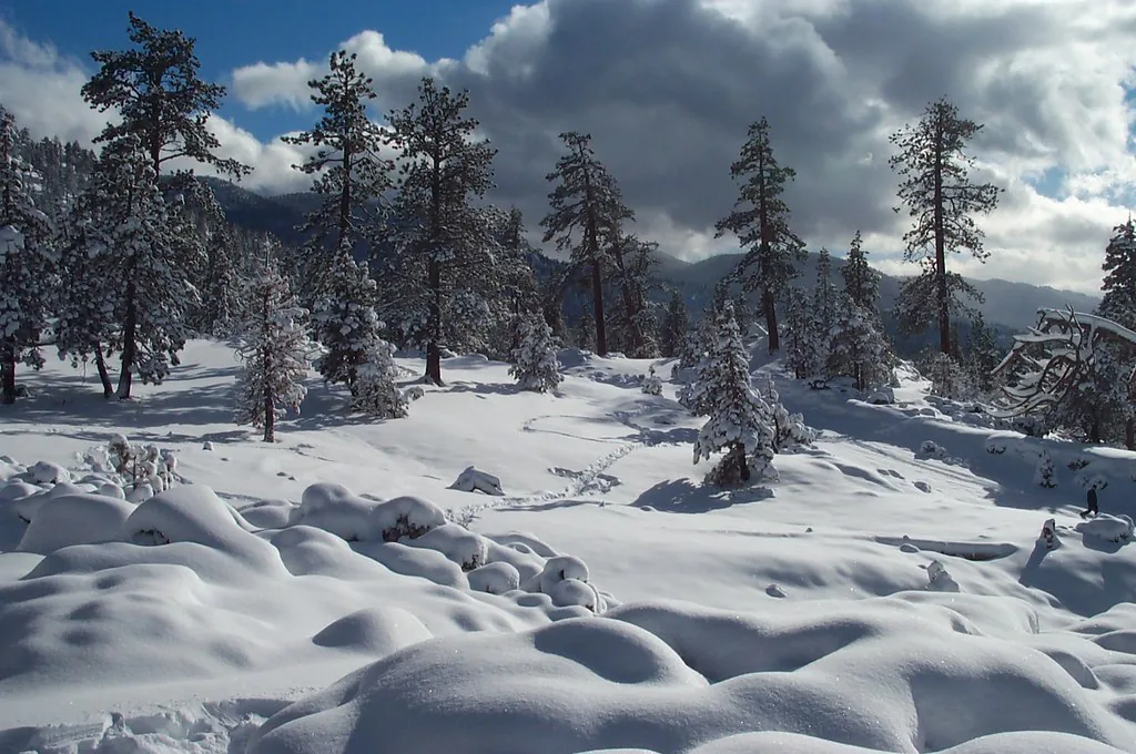 winter packing list